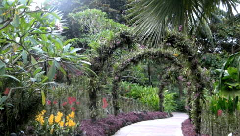 Singapore-BotanicalGardenArch.gif