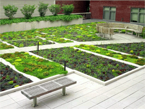 Harvard Architecture on Greenroofs Com   S    This Week In Review    On Greenroofstv  October