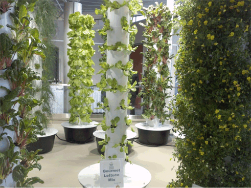 Hydroponic Garden on Hare S Hydroponic Gardens