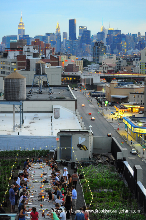 The Farm on the Roof What Brooklyn Grange Taught Us About Entrepreneurship Community and Growing a Sustainable Business