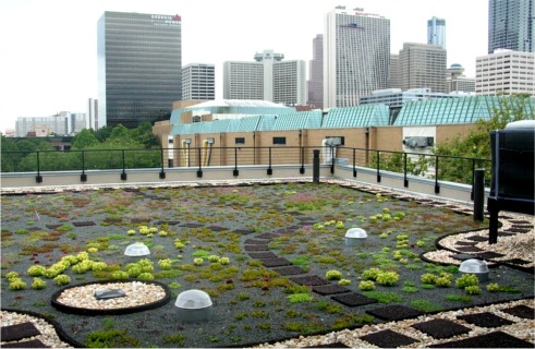 The Southface Eco-Office Greenroof in late May, 2009: Photo by LSV