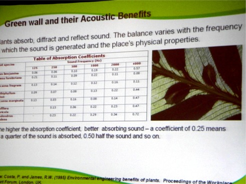 Acoustic Benefits of Green Walls