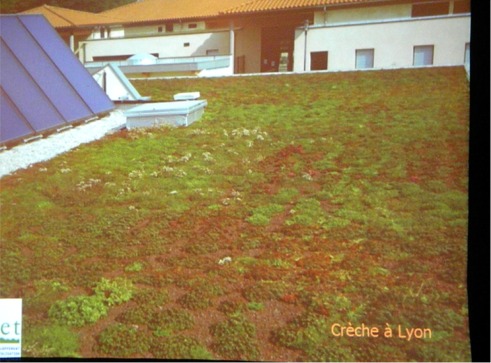 Example of a French Greenroof