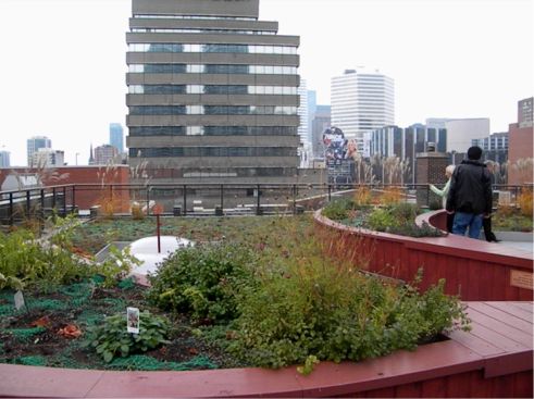 The Covenant House Greenroof