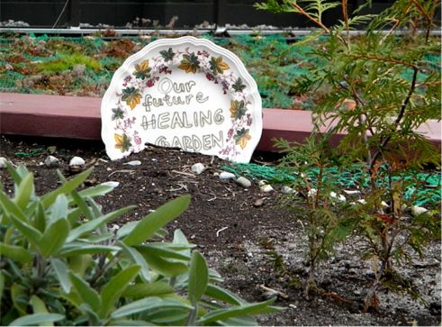 Covenant House Toronto's Hope: Our Future Healing Garden