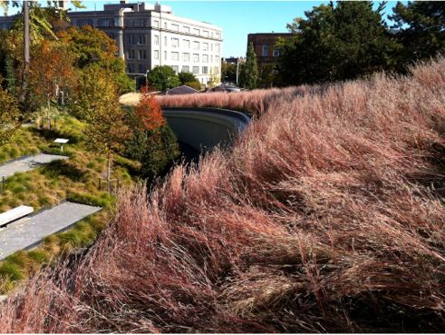 Brooklyn Botanic Garden Visitor Center; Photo Courtesy of New York Green Roofs