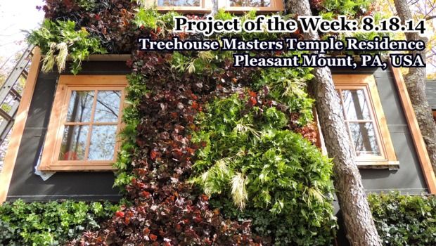 GPW-TreehouseMasters-081814