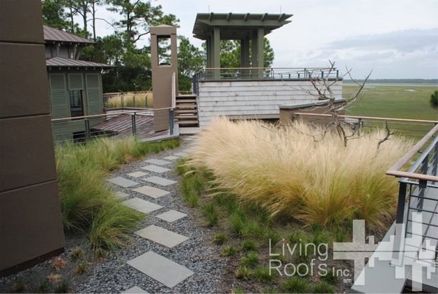 green-roof-projects-living-roofs-inc-kiawah-island-sc