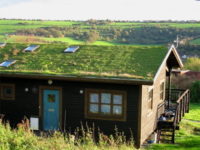 LisaPreston-green_roof1
