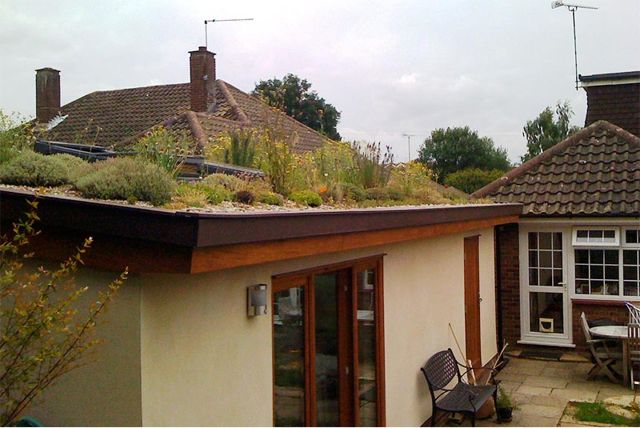 LisaPreston-green_roof2