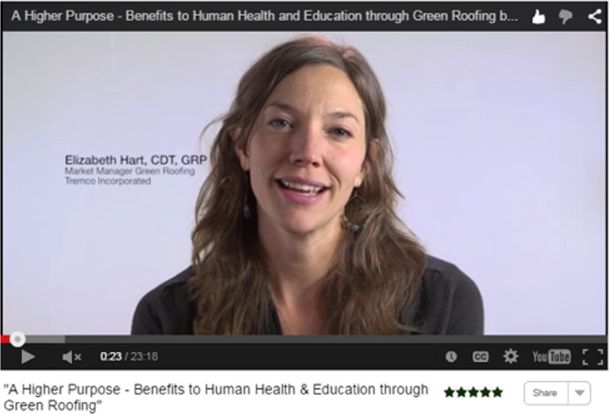 Virtual Summit 2015 Video A Higher Purpose by Elizabeth Hart
