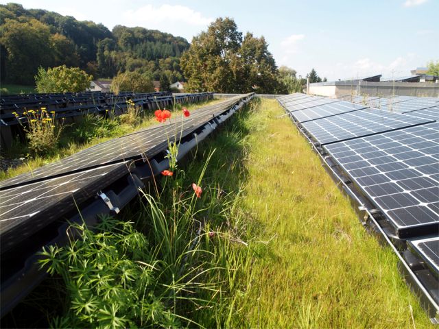 VS2015-StephanB-solar-greenroof