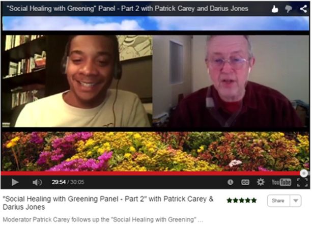Virtual Summit 2015 Video Social Healing Greening Carey Darius Jones