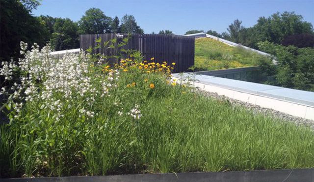 Virtual Summit 2015 Video Great Green Roof Review Hill McGlade