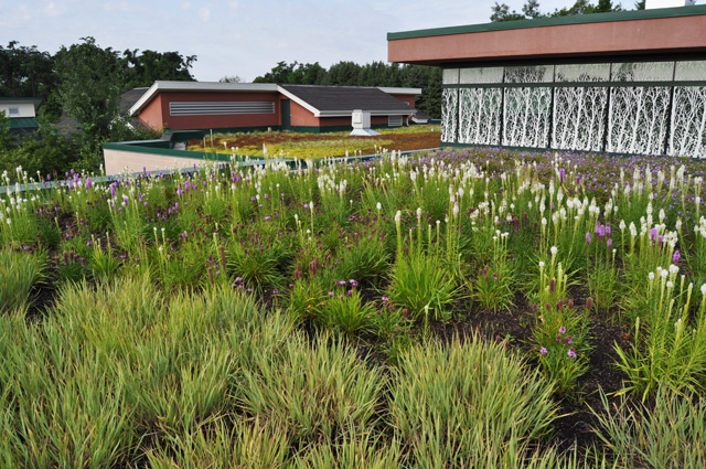 Virtual Summit 2015 Video Great Green Roof Review Hill McGlade