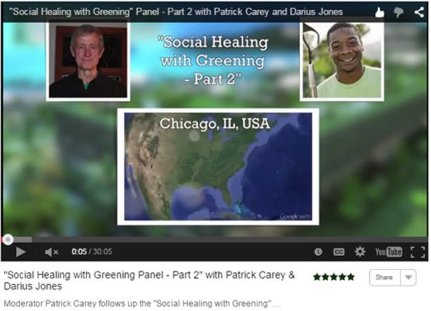 Virtual Summit 2015 Video Social Healing Greening Carey Darius Jones
