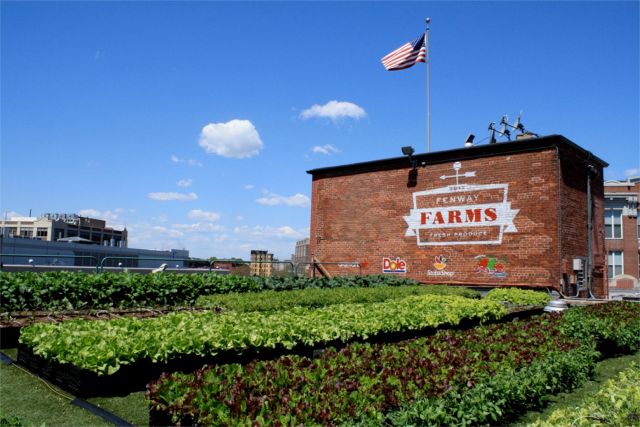 Fenway Farms