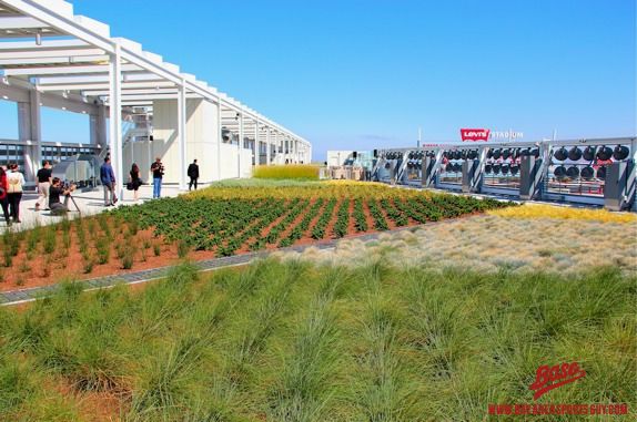 Project of the Week Levi's Stadium