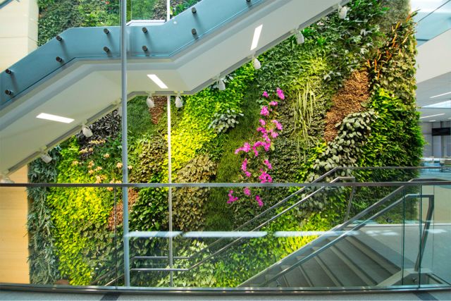 Project of the Week Rutgers University Institute for Food Nutrition and Health Living Wall