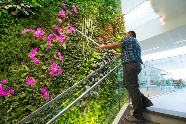 Project of the Week Rutgers University Institute for Food Nutrition and Health Living Wall