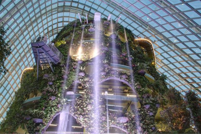 Project of the Week Gardens by the Bay Cloud Mountain
