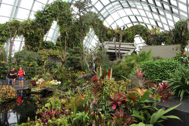 Project of the Week Gardens by the Bay Cloud Mountain