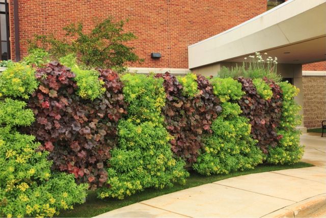 Project of the Week Spectrum Health Two-Sided Green Wall