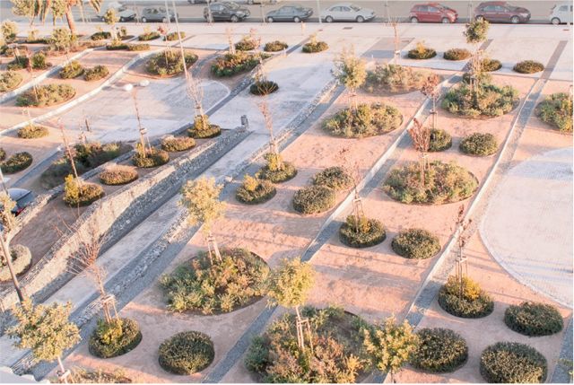 Project of the Week Caja Badajoz HQ Dehesa Landscape