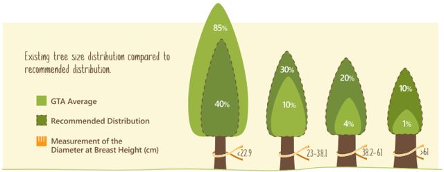 Green Infrastructure Ontario Coalition Report Urban Forest in GTA