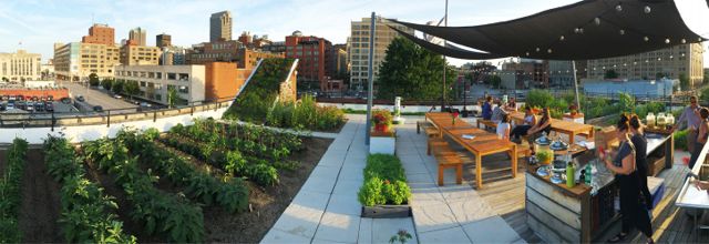 Project of the Week FOOD ROOF Farm