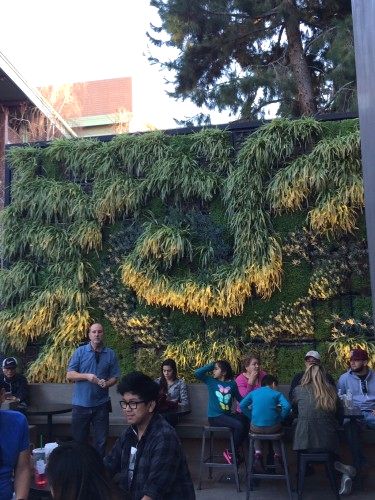Project of the Week Starbucks Living Wall Downtown Disney Anaheim