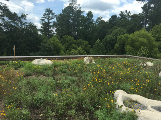 Project of the Week Chattahoochee Nature Center The Discovery Center