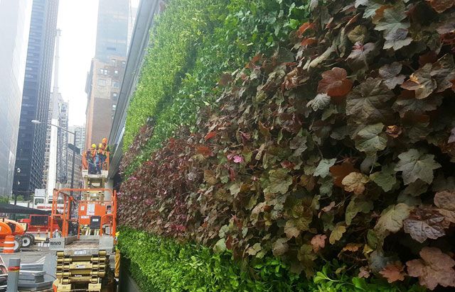 Project of the Week for January 30, 2017: World Trade Center (WTC) Liberty Park Living Wall