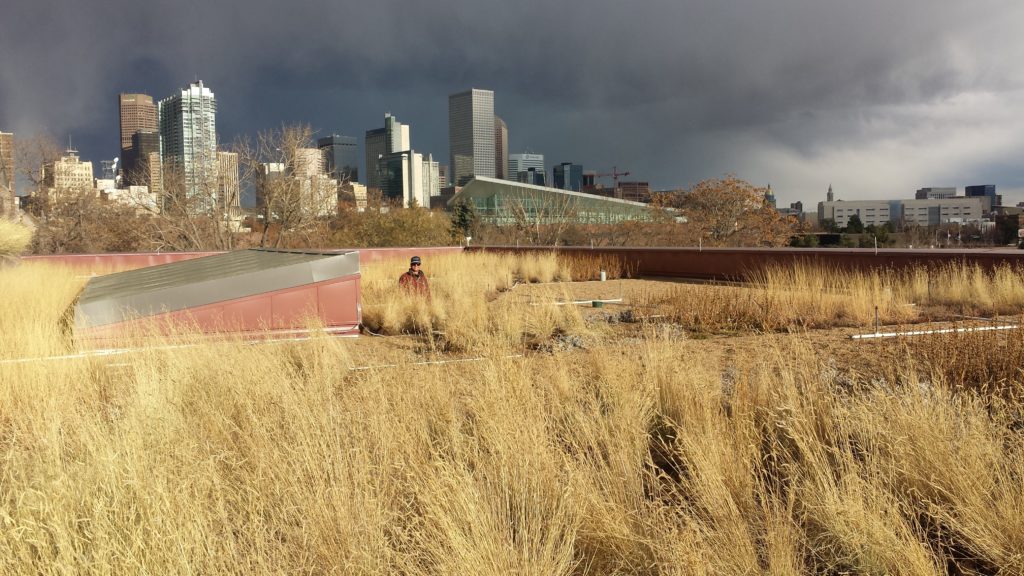 Denver Voters Pass I-300 Green Roof Building Code