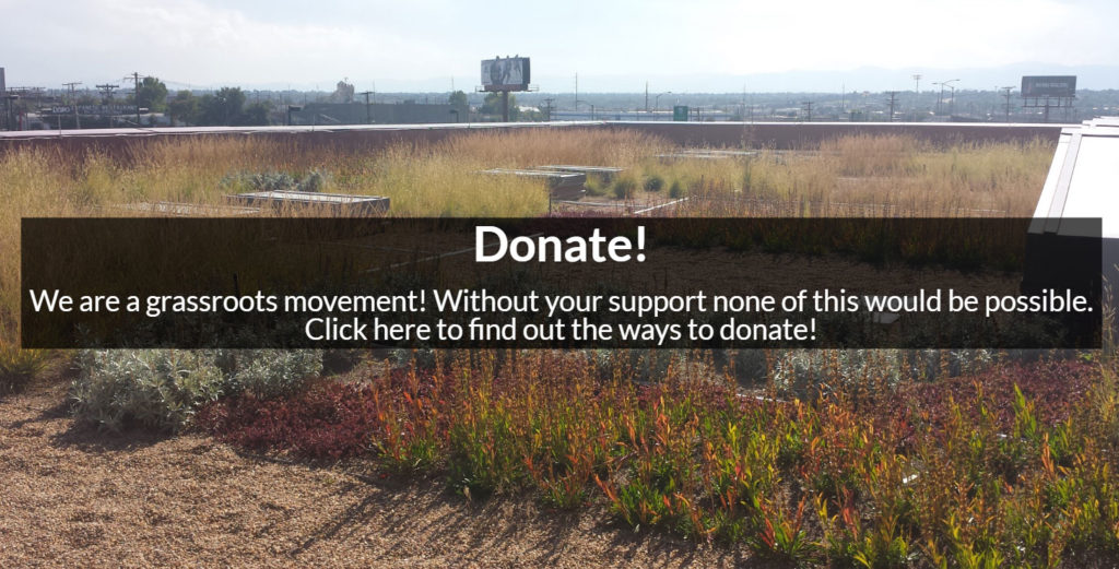 Support Denver Green Roof Initiative Brandon Rietheimer