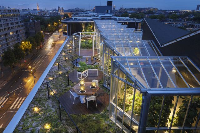 Greenroofs.com Project of the Week for October 9, 2017: Zoku (Metro Pool Building) Roof Garden
