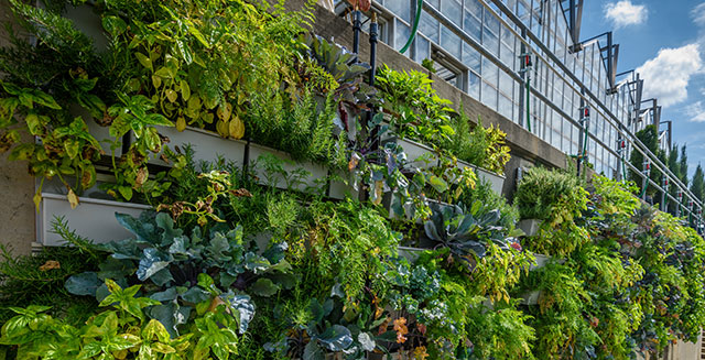 Phipps Conservatory Showcases Vertical Gardening on Display with LiveWall