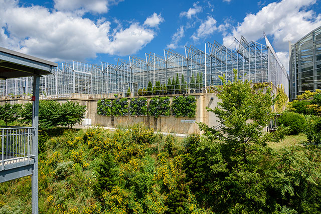 Phipps Conservatory Showcases Vertical Gardening on Display with LiveWall
