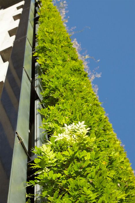 Greenroofs.com Project Week Sihlcity Shopping Centre Living Facade