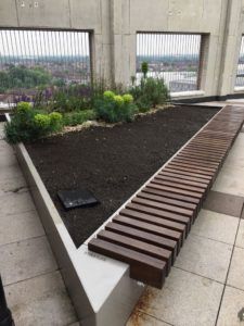 Irrigation of Intensive Green Roof Systems
