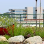 Berry Architecture / DRHF Office Building Green Roof