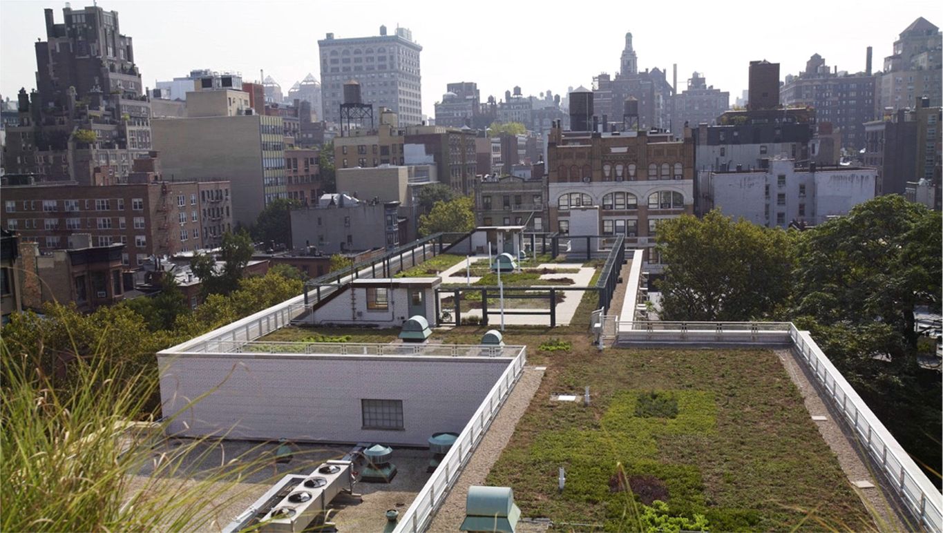 New York PS41 Greenroof Environmental Literacy Laboratory (GELL) Featured Image