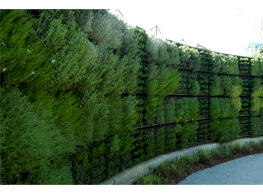 Atlanta Botanical Garden Edible Garden Green Wall Featured Image