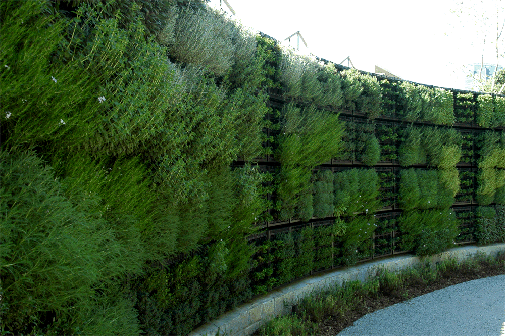Atlanta Botanical Garden Edible Garden Green Wall - Greenroofs.com