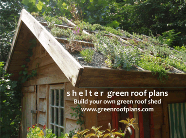 Ancaya Green Roof Garden Shed Featured Image