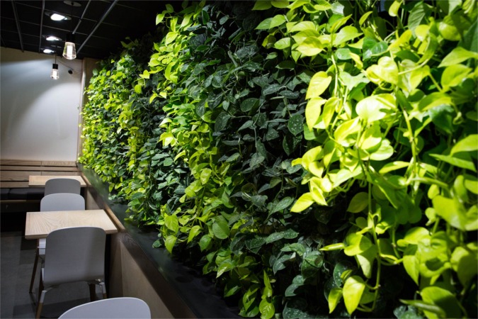 LiveWall Indoor Living Wall Livens Up Coava Coffee’s New Café Location