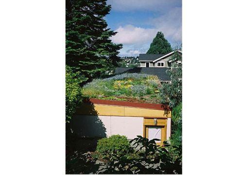 Private Seattle Green Roof Garage Featured Image