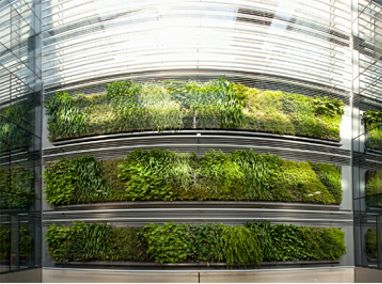 Britomart East Complex Green Walls Featured Image