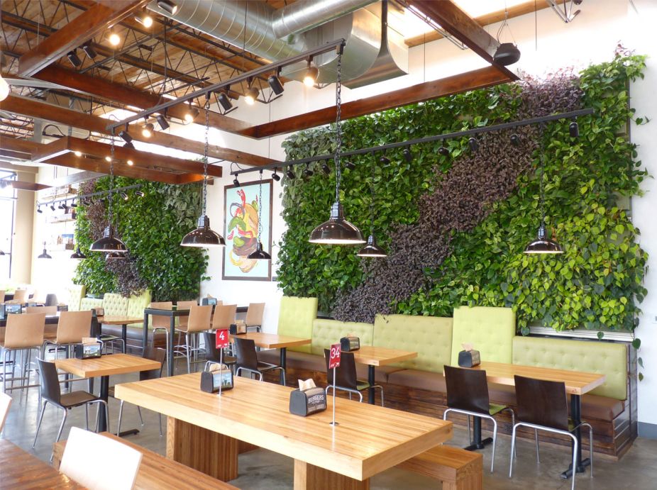 Brome Burgers & Shakes Green Walls Featured Image