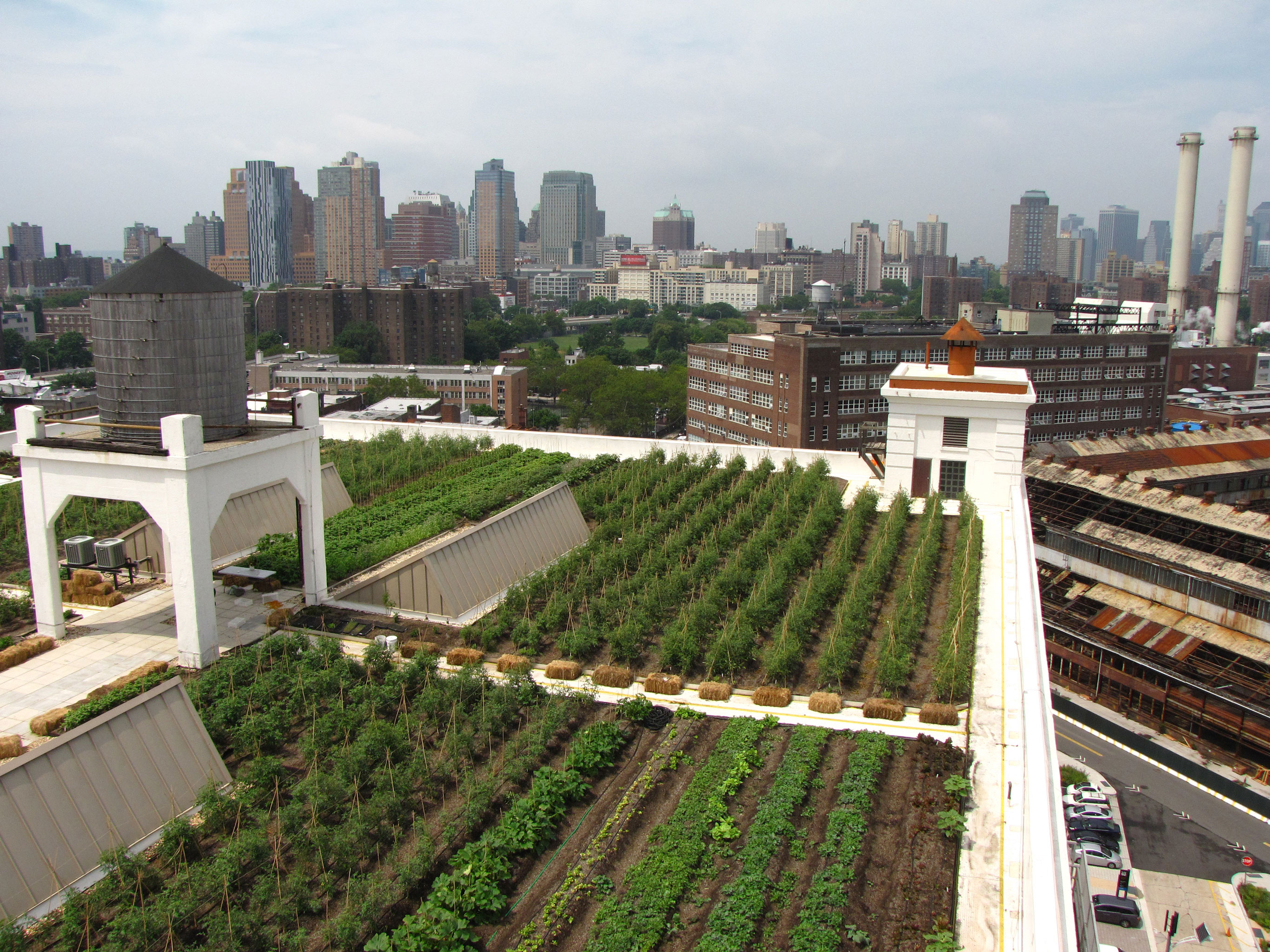 Brooklyn Grange Rooftop Farm #2 at Brooklyn Navy Yard, Building No. 3 Featured Image
